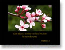 Spring PowerPoint Scripture Verses